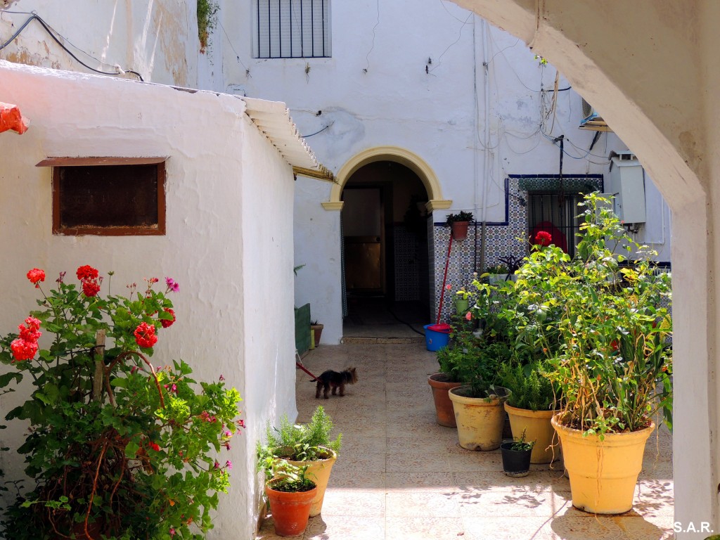Foto: Patio de vecinos - Bornos (Cádiz), España