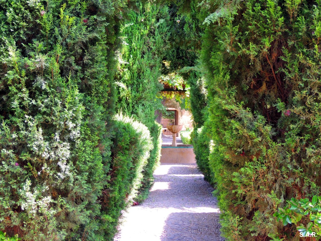 Foto: Jardines Palacio Los Ribera - Bornos (Cádiz), España