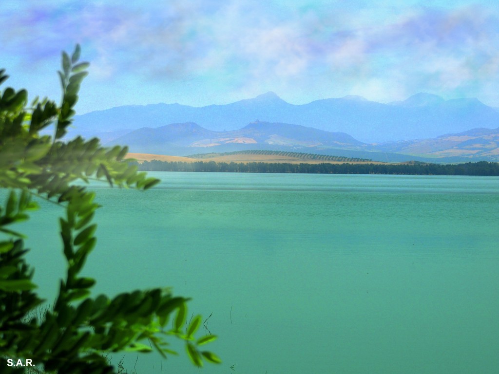 Foto: Pantano de Bornos - Bornos (Cádiz), España