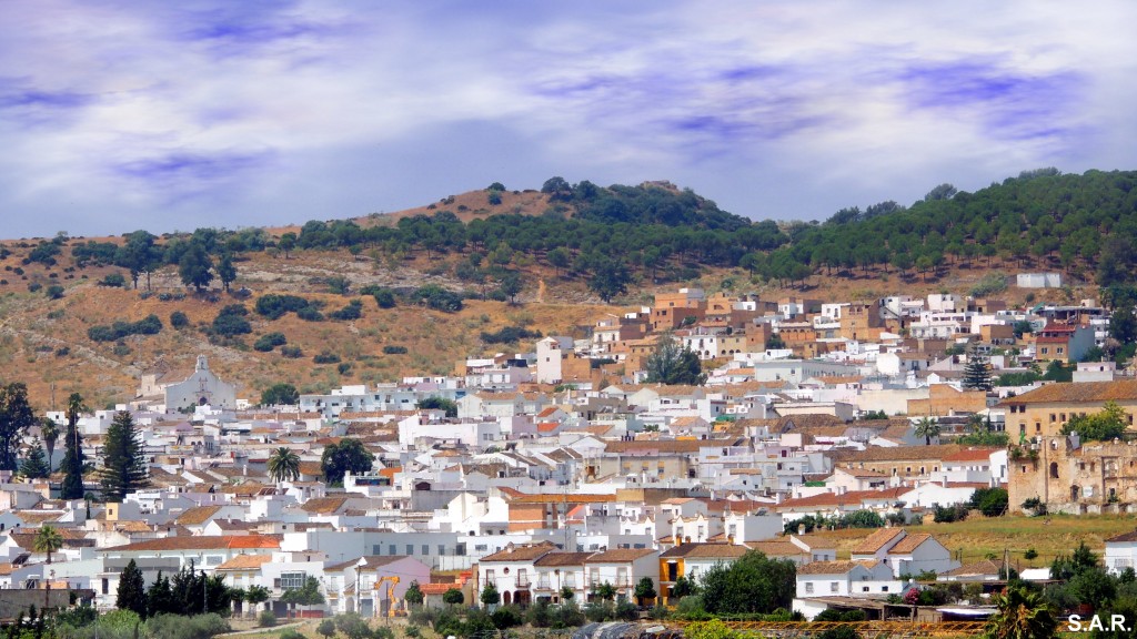 Foto: Vista de Bornos - Bornos (Cádiz), España