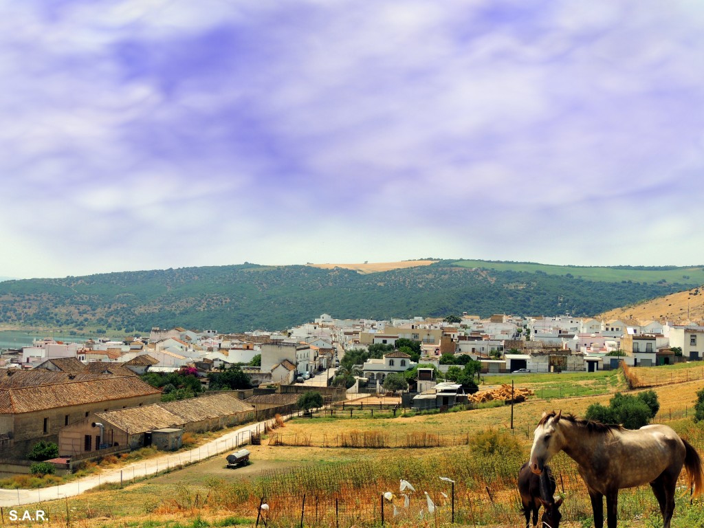 Foto: Camino a Bornos - Bornos (Cádiz), España
