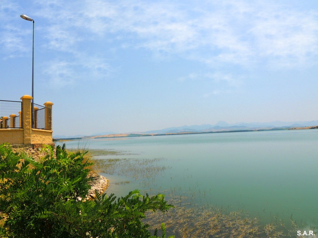 Foto: Para disfrutar de la vista - Bornos (Cádiz), España