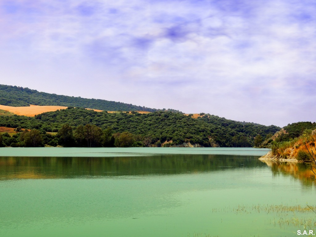 Foto: Donde el tiempo se detiene - Bornos (Cádiz), España