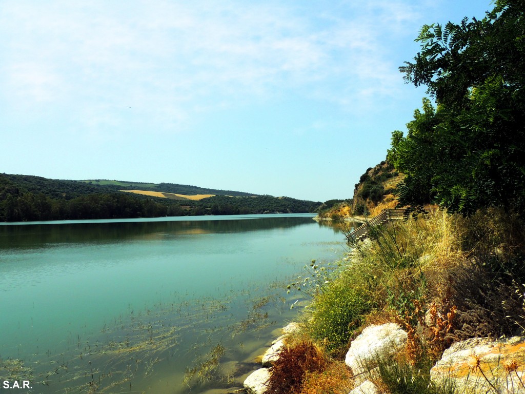 Foto: En el mirador - Bornos (Cádiz), España