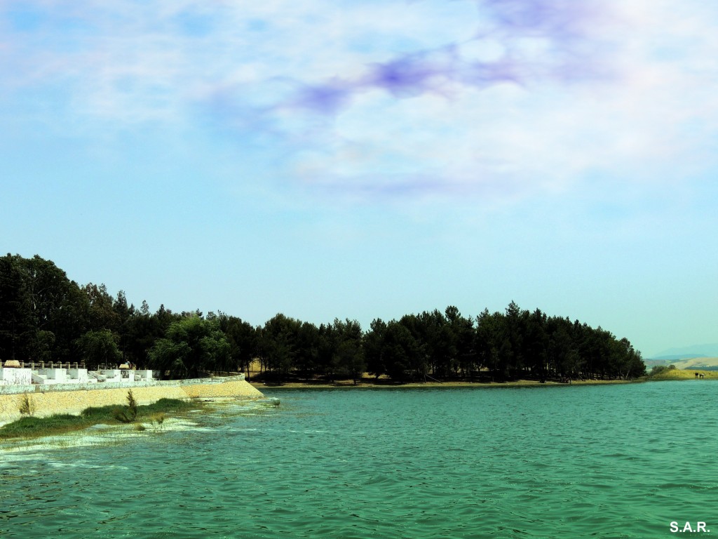 Foto: Zona de ocio y recreo - Bornos (Cádiz), España
