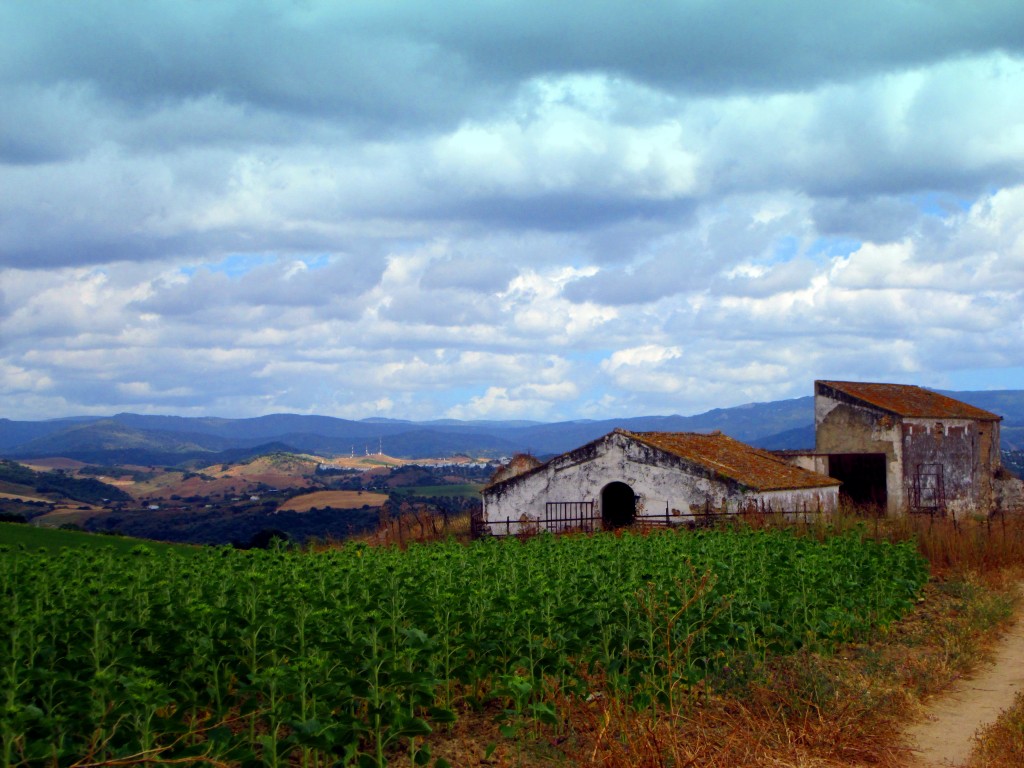 Foto: Cortijo en ruinas - Venta La Perdiz (Cádiz), España