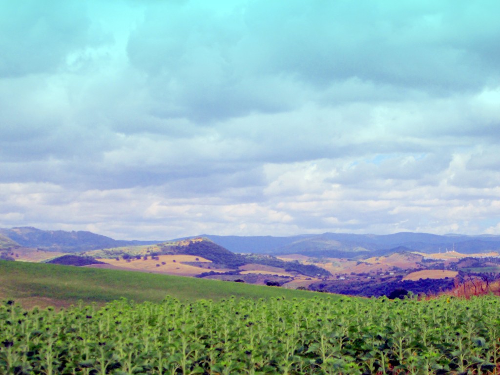 Foto: Vista hacia la Sierra - Venta La Perdiz (Cádiz), España