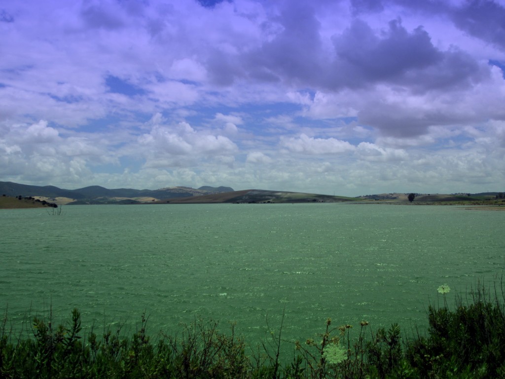 Foto: Vista al Pantano Guadalcacín - Venta La Perdiz (Cádiz), España