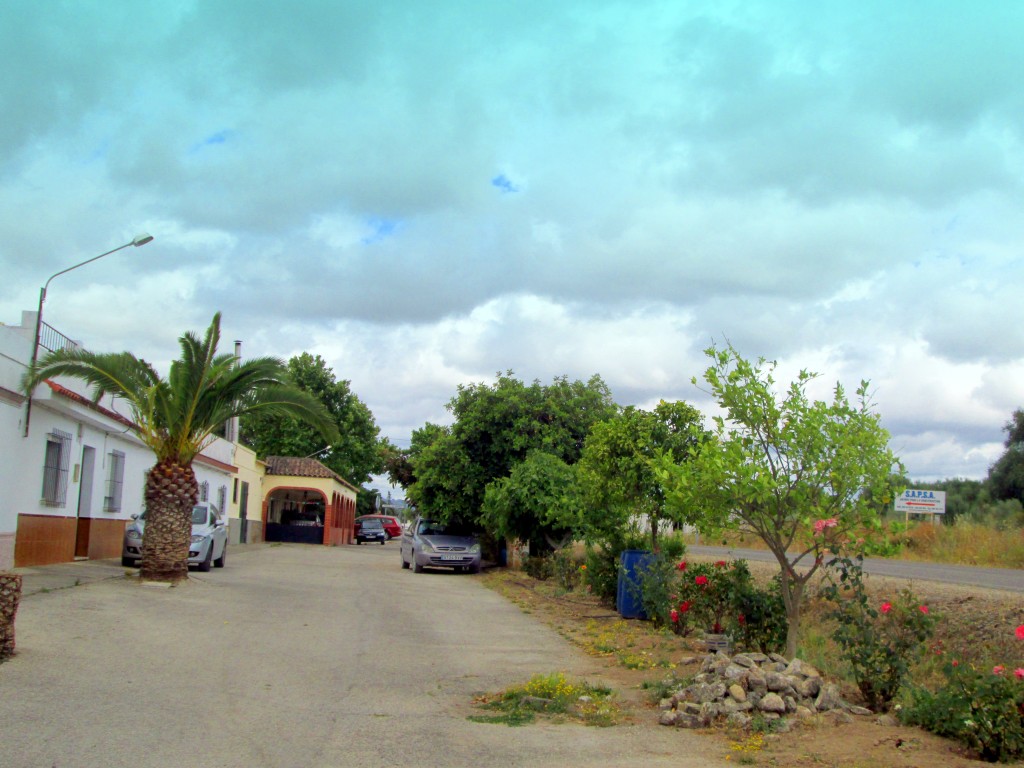 Foto: Calle Galicia - Venta La Perdiz (Cádiz), España