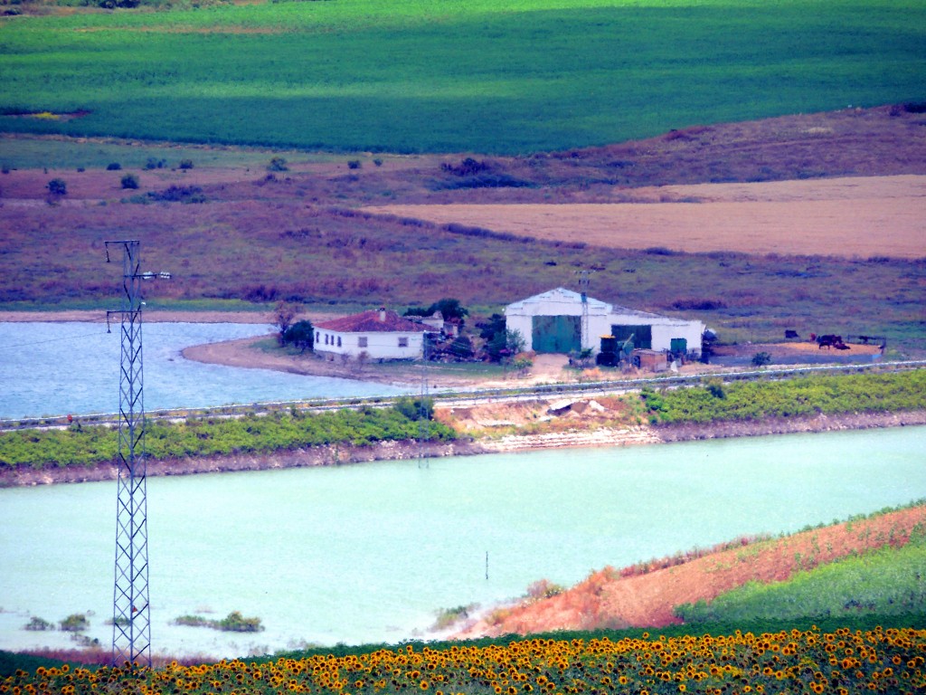 Foto: Costijo a orillas del pantano - Venta La Perdiz (Cádiz), España