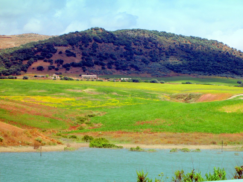 Foto: Sierra Valleja - Venta La Perdiz (Cádiz), España