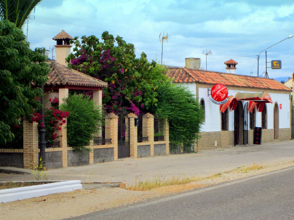 Foto: Venta La Perdiz - Venta La Perdiz (Cádiz), España