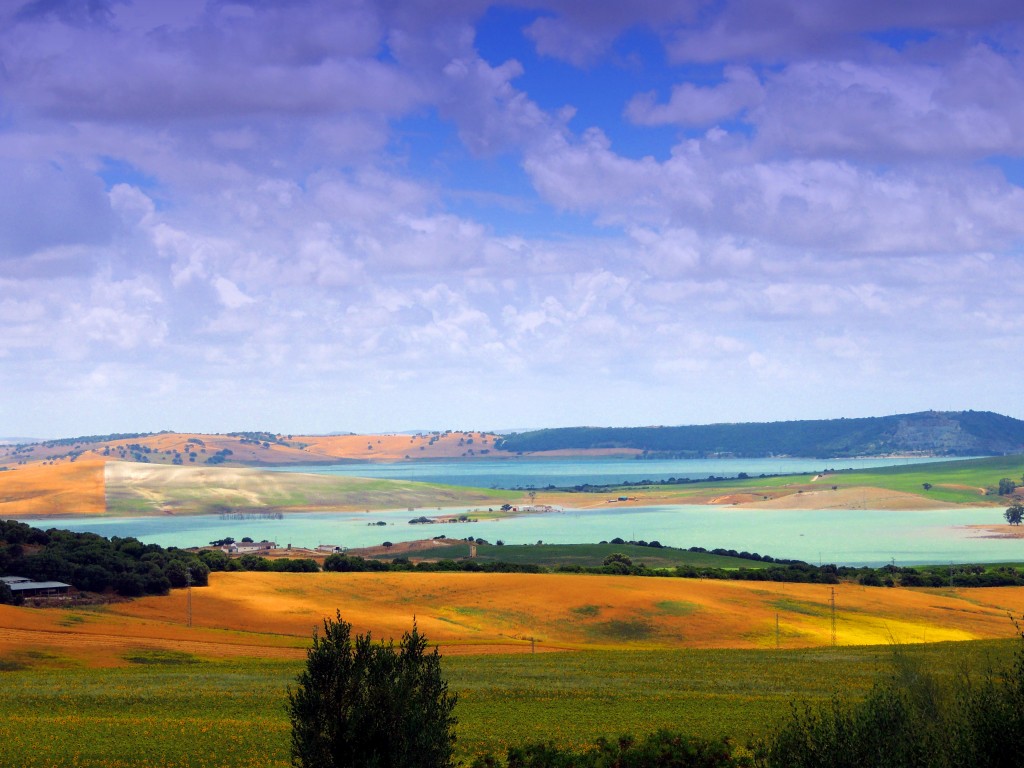 Foto: Guadalcacín desde la Carretera - Venta La Perdiz (Cádiz), España