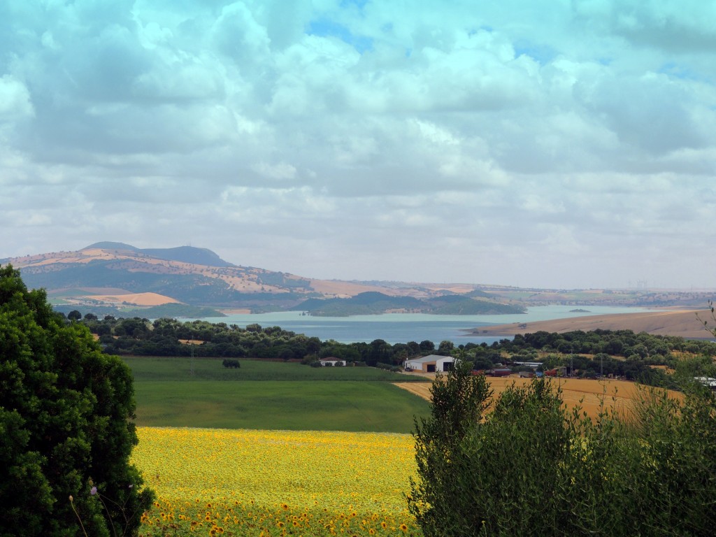 Foto: Vista hacia el pantano - Venta La Perdiz (Cádiz), España
