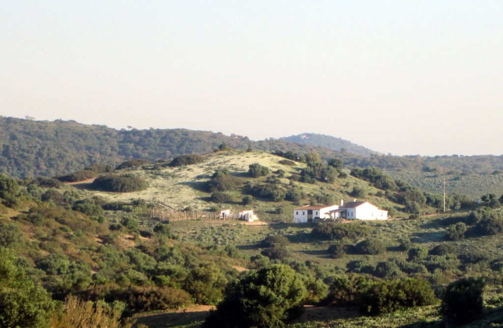 Foto: Cortijo La Polmosa - El Berrueco (Cádiz), España