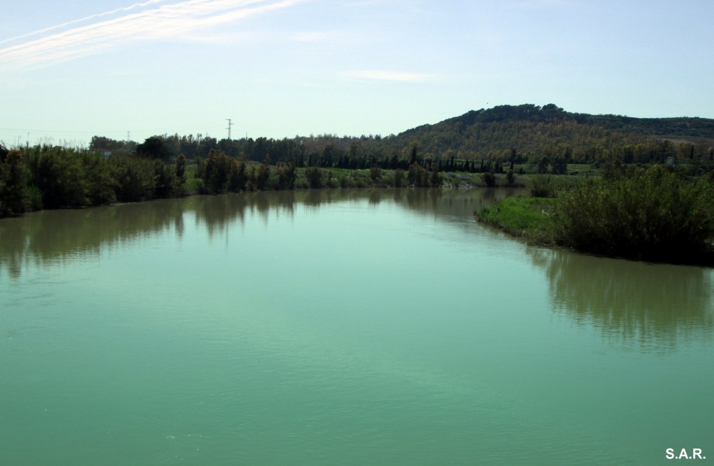 Foto: Río Guadalete a su paso por el Portal - El Portal (Cádiz), España
