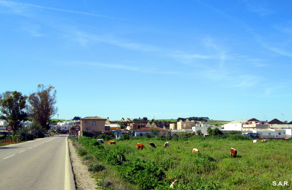 Foto: Desde carretera de Bolaños - El Portal (Cádiz), España
