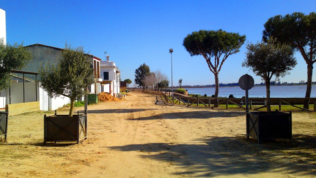Foto: El Coto de Doñana al fondo - El Rocio (Huelva), España