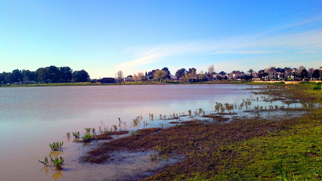 Foto: Charco de la Boca - El Rocio (Huelva), España