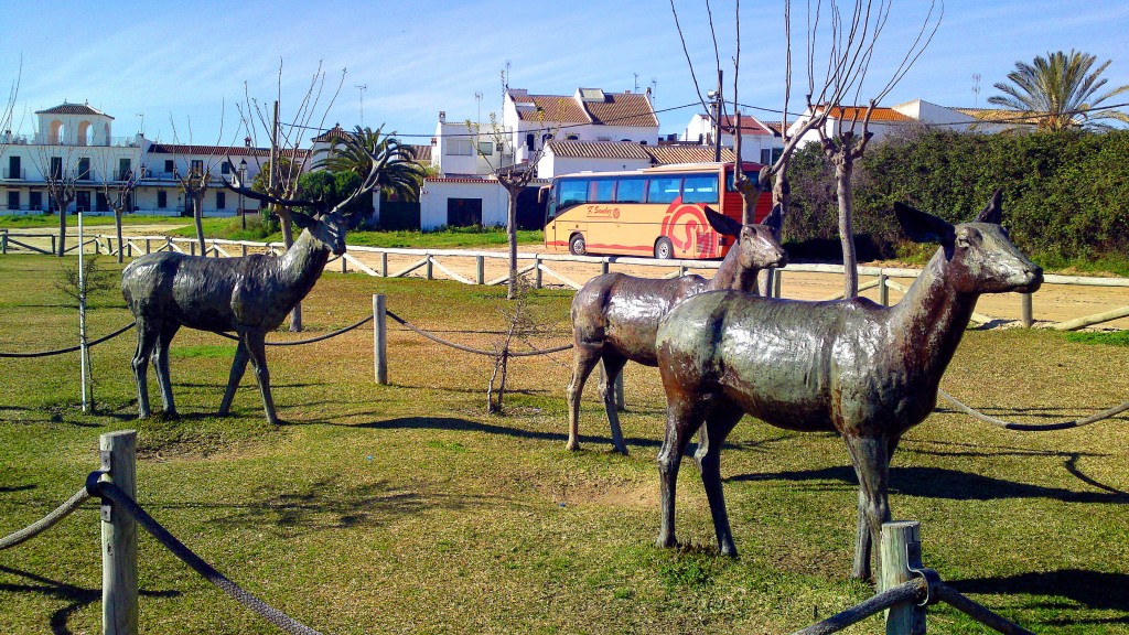Foto: Emulando los animales del Coto - El Rocio (Cádiz), España