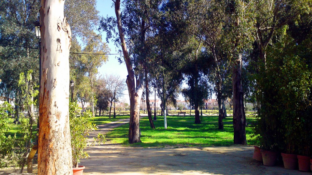 Foto: A la sombra de eucalíptos - El Rocio (Huelva), España