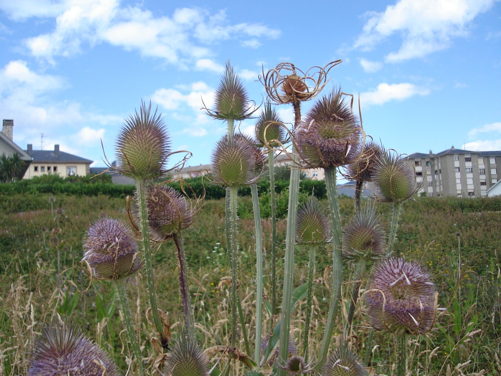 Foto de Tapia de Casariego (Asturias), España