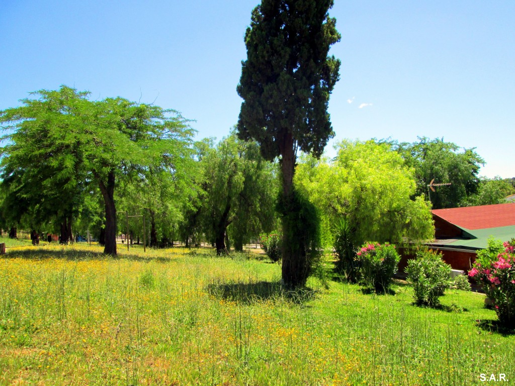 Foto: La Alameda - El Torno (Cádiz), España
