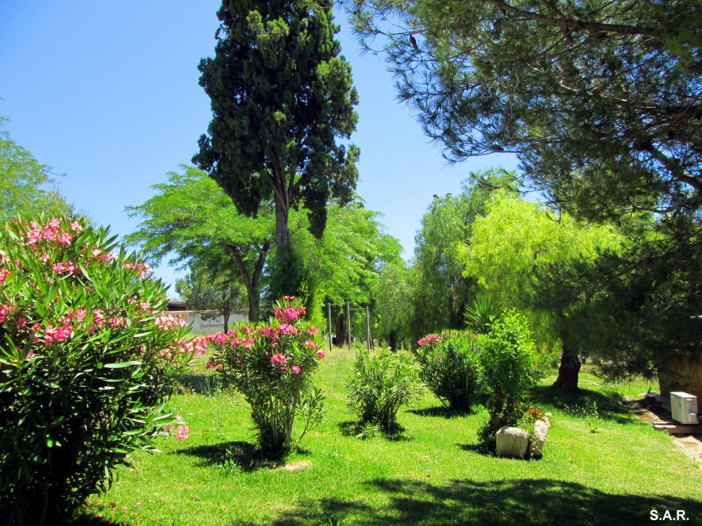 Foto: El Parque - El Torno (Cádiz), España