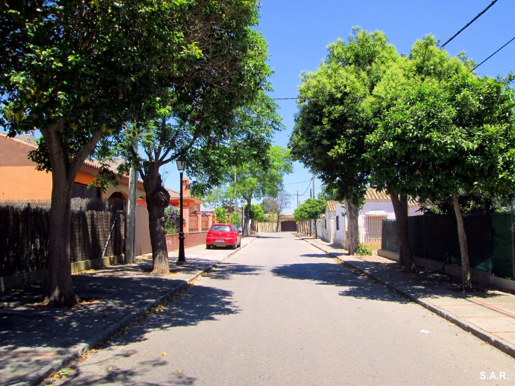 Foto: Calle Toro - El Torno (Cádiz), España