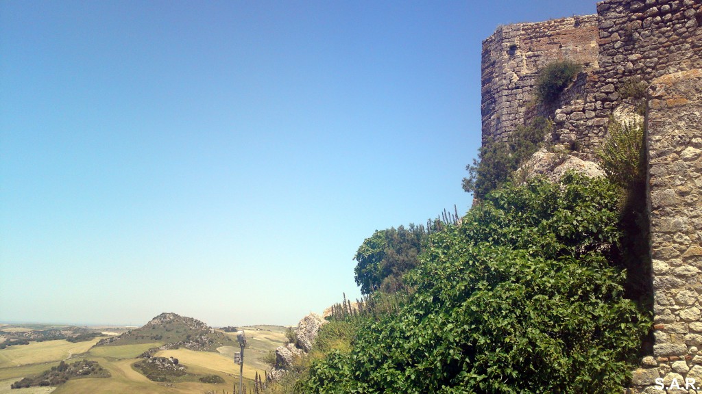 Foto: Torreones - Espera (Cádiz), España