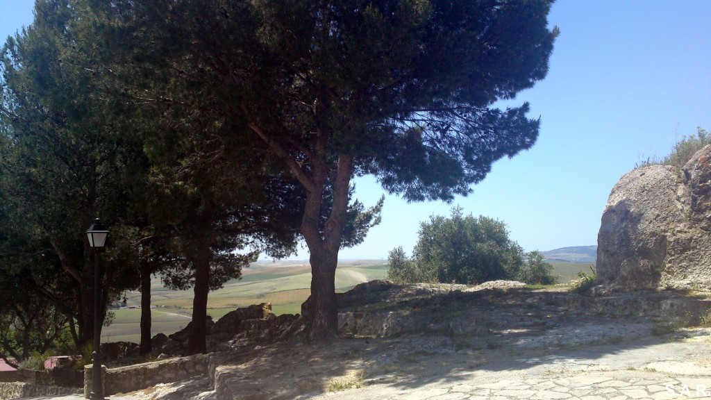 Foto: Enclave del Castillo - Espera (Cádiz), España