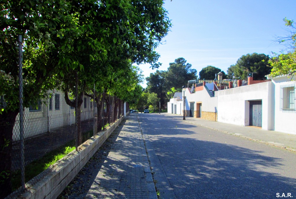 Foto: Calle Linde - Estella del Marques (Cádiz), España