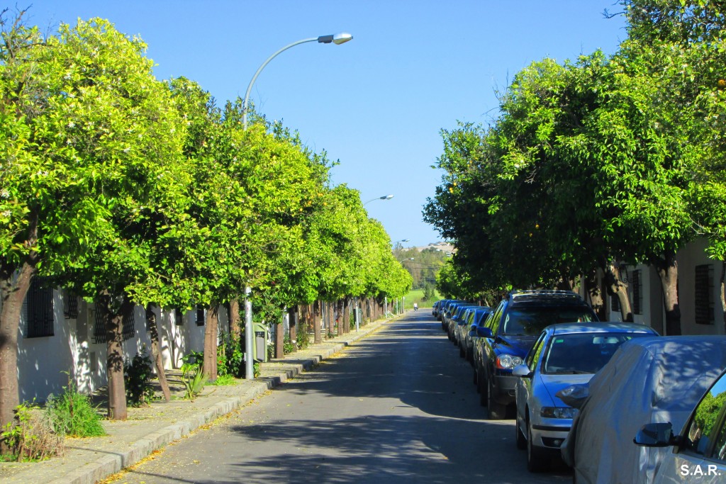 Foto: Calle del Pozo - Estella del Marques (Cádiz), España