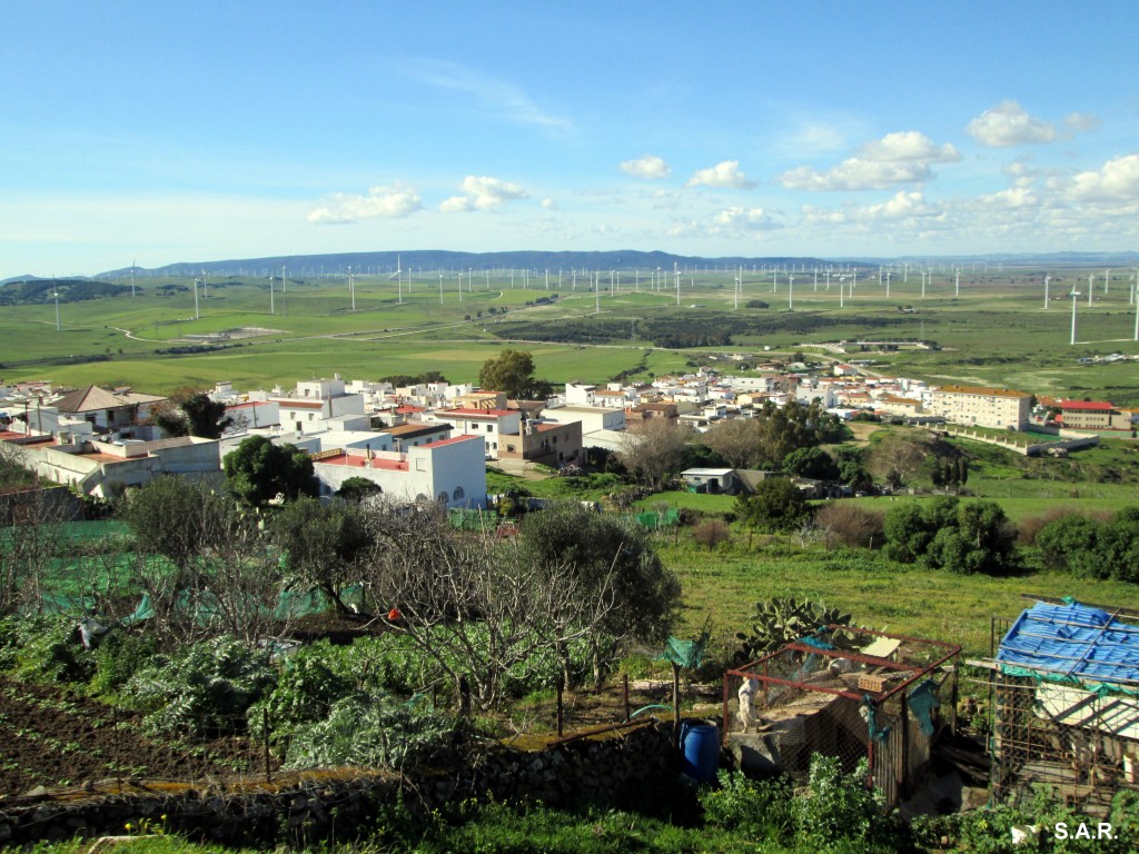 Foto: Vista de Facinas - Facinas (Cádiz), España