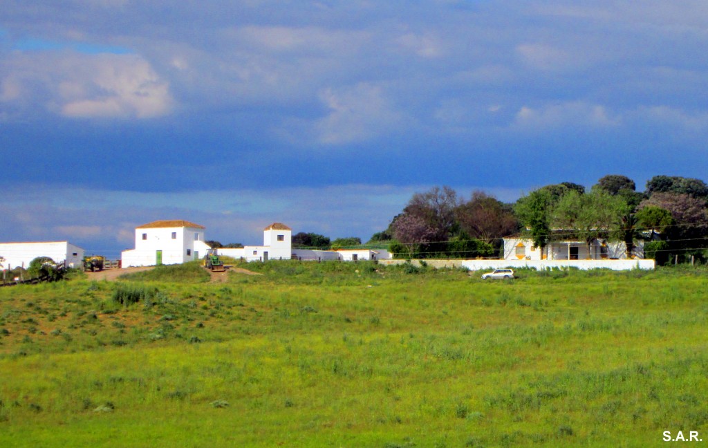 Foto: Cortijo Las Navas - Gibalbín (Cádiz), España