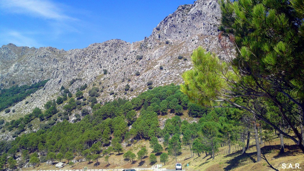 Foto: Sierra del Pinar - Grazalema (Cádiz), España