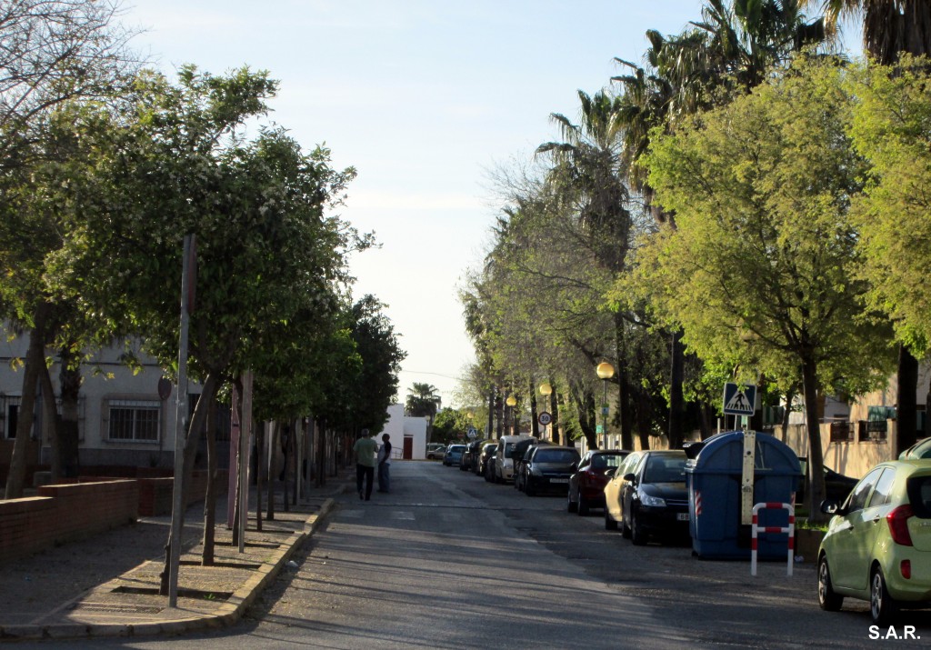 Foto: Calle Duero - Guadalcacín (Cádiz), España