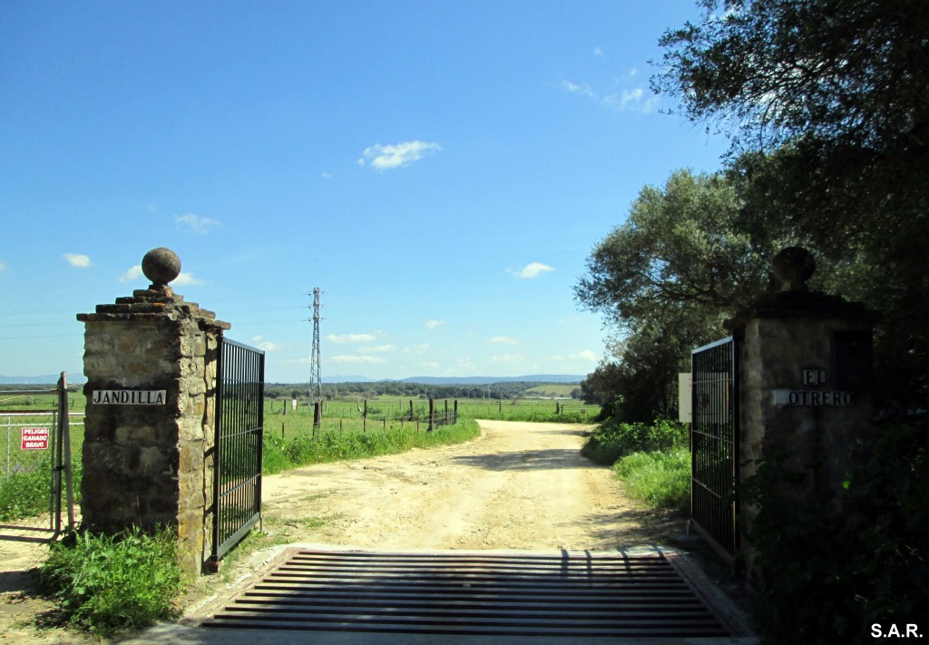 Foto: Entrada a Jandilla - Jandilla (Cádiz), España