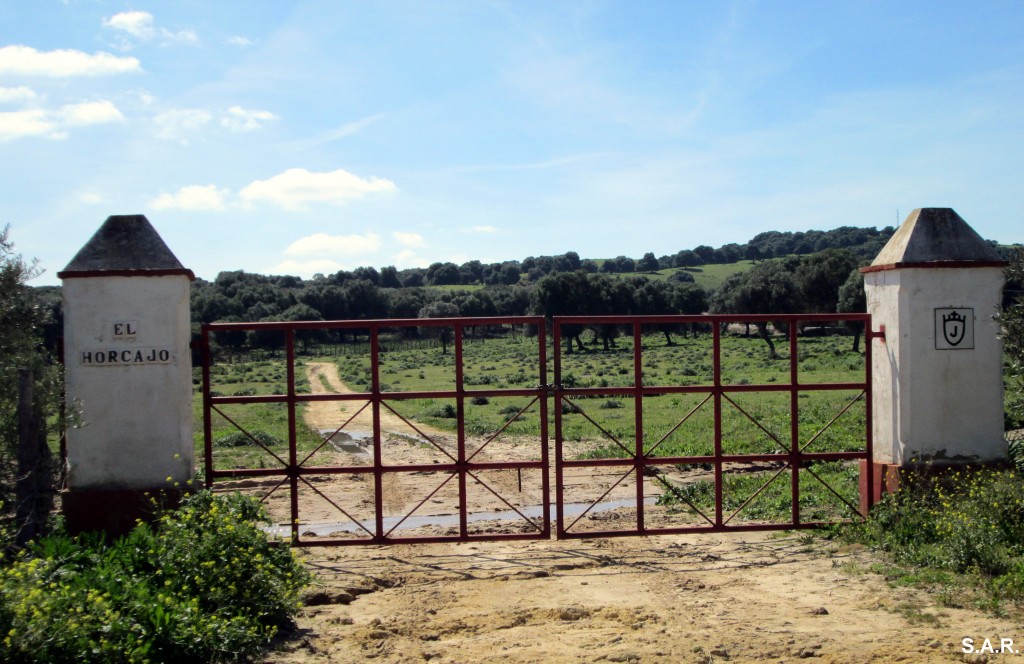 Foto: El Horcajo - Jandilla (Cádiz), España