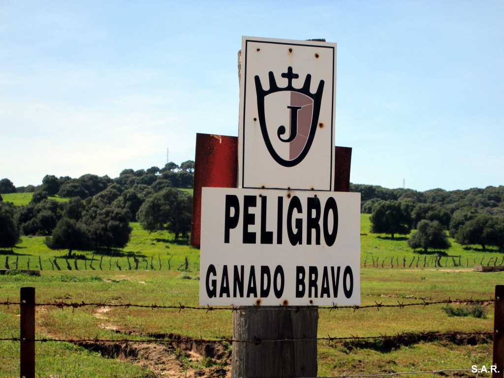 Foto: Peligro - Jandilla (Cádiz), España