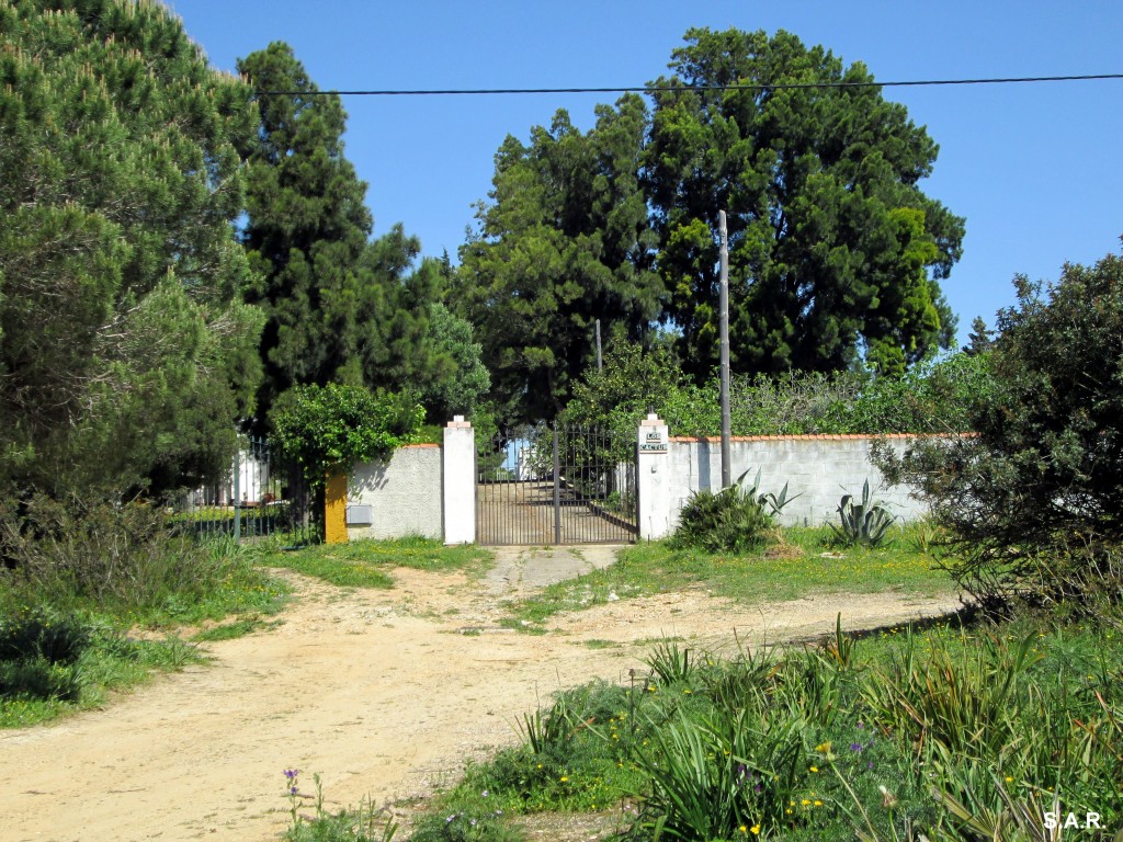 Foto: Los Cactus - Jarana Barrio (Cádiz), España