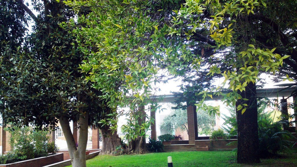 Foto: Jardines - Jerez (Cádiz), España