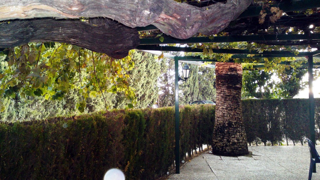 Foto: Terraza Valenzuela - Jerez (Cádiz), España