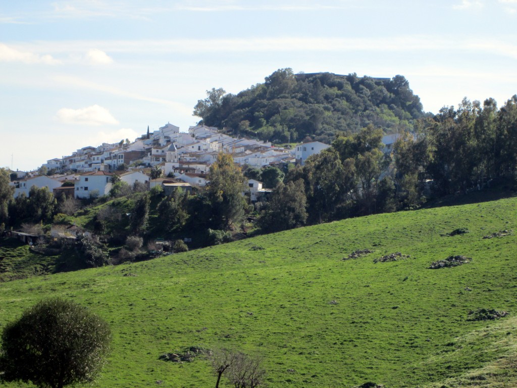 Foto: Desde la Carretera - Jimena de la Frontera (Cádiz), España
