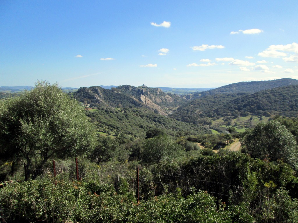 Foto: Vista al Parque Natural - Jimena de la Frontera (Cádiz), España