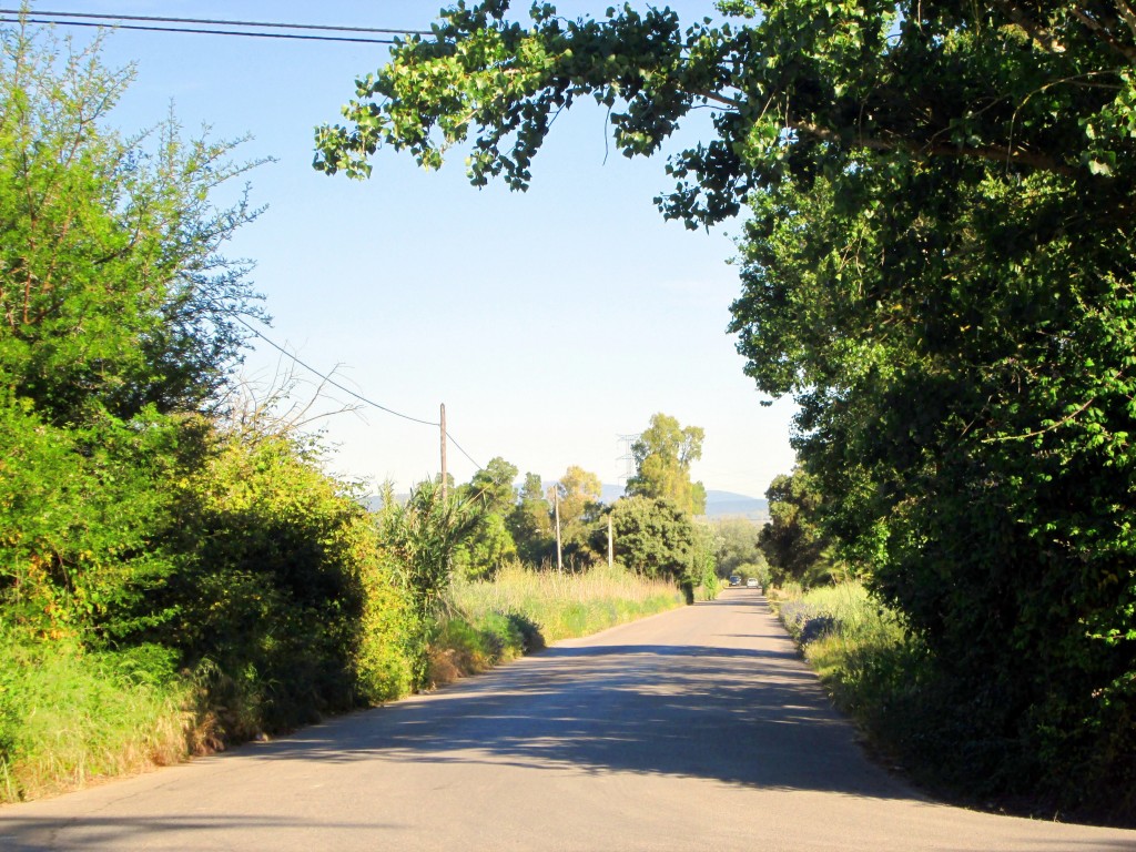 Foto: Carretera a La Pedrosa - Junta de los ríos (Cádiz), España