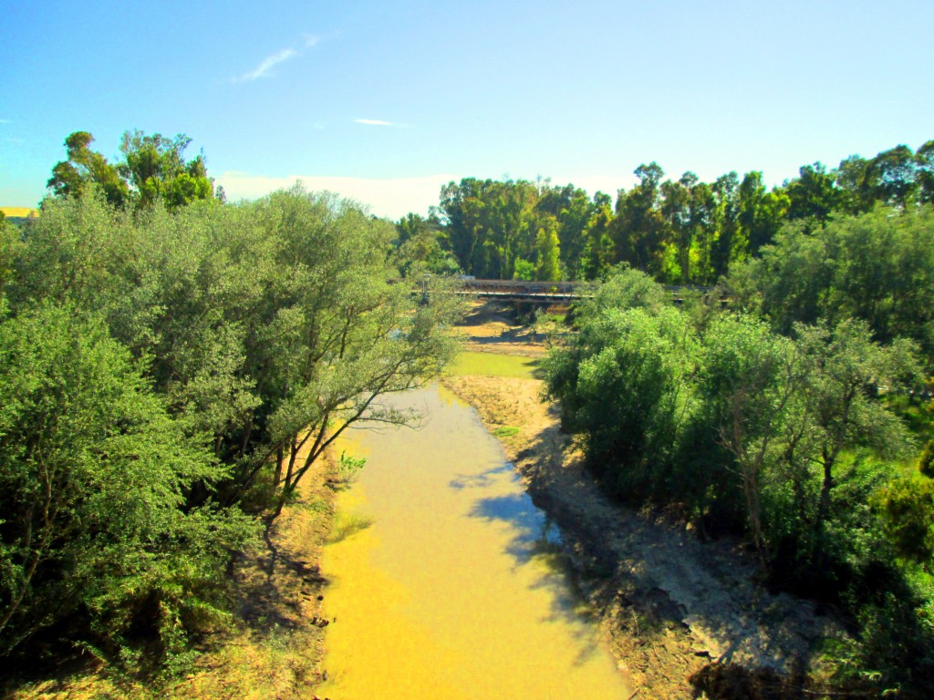 Foto: Vista desde la morcilla - Junta de los ríos (Cádiz), España