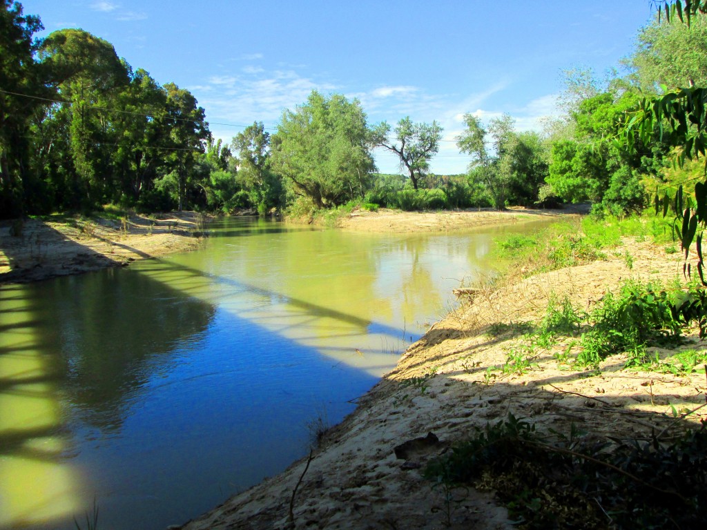 Foto: Fusión del Guadalete y El Majaceite - Junta de los ríos (Cádiz), España