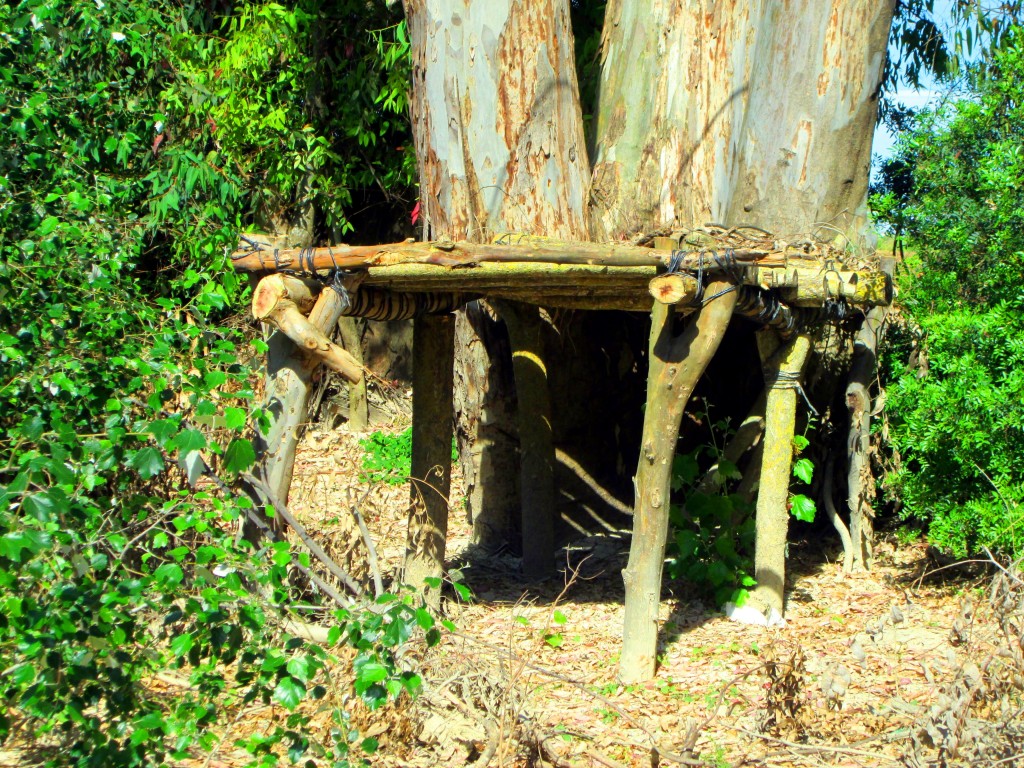 Foto: Refugio en el bosque - Junta de los ríos (Cádiz), España