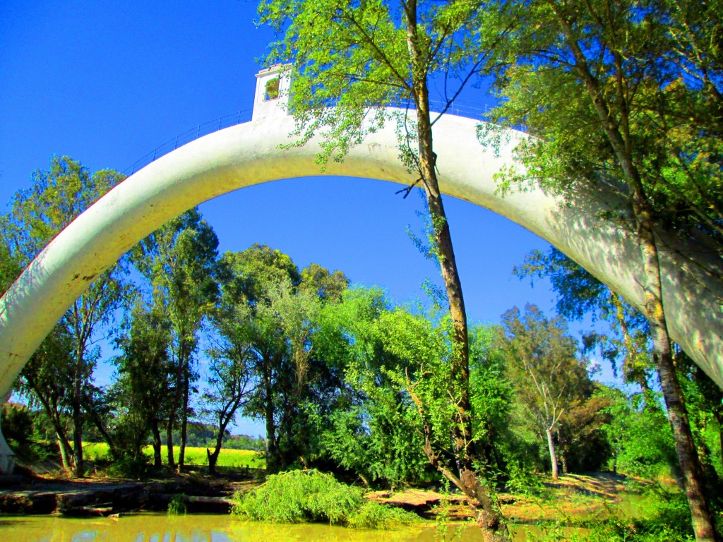 Foto: El sifón o morcilla - Junta de los ríos (Cádiz), España